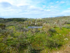 Terreno R�stico - Alfadega da F�, Alf�ndega da F�, Bragan�a
