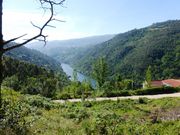 Moradia - Penha Longa, Marco de Canaveses, Porto - Miniatura: 1/7