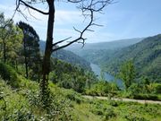 Moradia - Penha Longa, Marco de Canaveses, Porto - Miniatura: 2/7