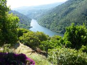 Moradia - Penha Longa, Marco de Canaveses, Porto - Miniatura: 4/7