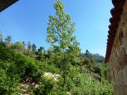 Moradia - Penha Longa, Marco de Canaveses, Porto - Miniatura: 5/7