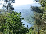 Moradia - Penha Longa, Marco de Canaveses, Porto - Miniatura: 6/7