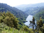 Moradia - Penha Longa, Marco de Canaveses, Porto - Miniatura: 7/7