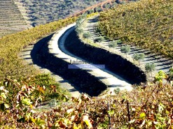 Quinta - Vila Nova de Foz C�a, Vila Nova de Foz C�a, Guarda - Miniatura: 3/8