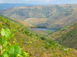 Quinta - Vila Nova de Foz C�a, Vila Nova de Foz C�a, Guarda - Miniatura: 4/8