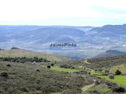 Terreno R�stico - Alfadega da F�, Alf�ndega da F�, Bragan�a - Miniatura: 3/7