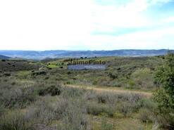 Terreno R�stico - Alfadega da F�, Alf�ndega da F�, Bragan�a - Miniatura: 5/7
