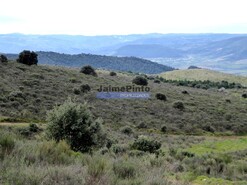 Terreno R�stico - Alfadega da F�, Alf�ndega da F�, Bragan�a - Miniatura: 7/7