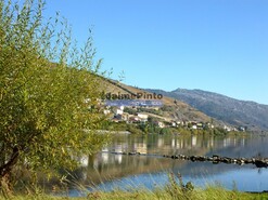 Moradia T4 - Fontelas, Peso da R�gua, Vila Real - Miniatura: 5/9