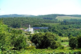 Terreno R�stico - Agualonga, Paredes de Coura, Viana do Castelo - Miniatura: 2/7