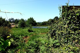 Terreno R�stico - Agualonga, Paredes de Coura, Viana do Castelo - Miniatura: 6/7