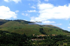 Terreno R�stico - Agualonga, Paredes de Coura, Viana do Castelo - Miniatura: 7/7