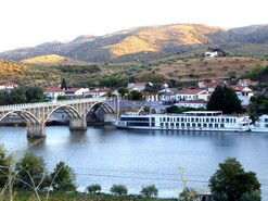 Terreno R�stico - Barca D�Alva, Figueira de Castelo Rodrigo, Guarda - Miniatura: 9/9