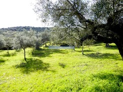 Terreno R�stico - Barca D�Alva, Figueira de Castelo Rodrigo, Guarda - Miniatura: 6/9