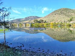 Terreno R�stico - Barca D�Alva, Figueira de Castelo Rodrigo, Guarda - Miniatura: 9/9