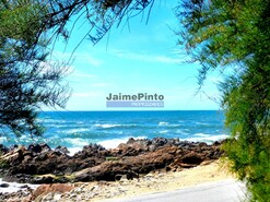 Apartamento T3 - Nevogilde, Porto, Porto - Miniatura: 7/9