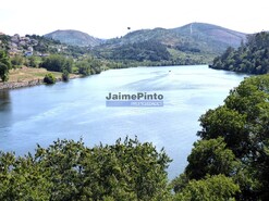 Quinta - Eja, Penafiel, Porto - Miniatura: 5/9