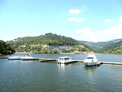 Quinta - Eja, Penafiel, Porto - Miniatura: 8/9
