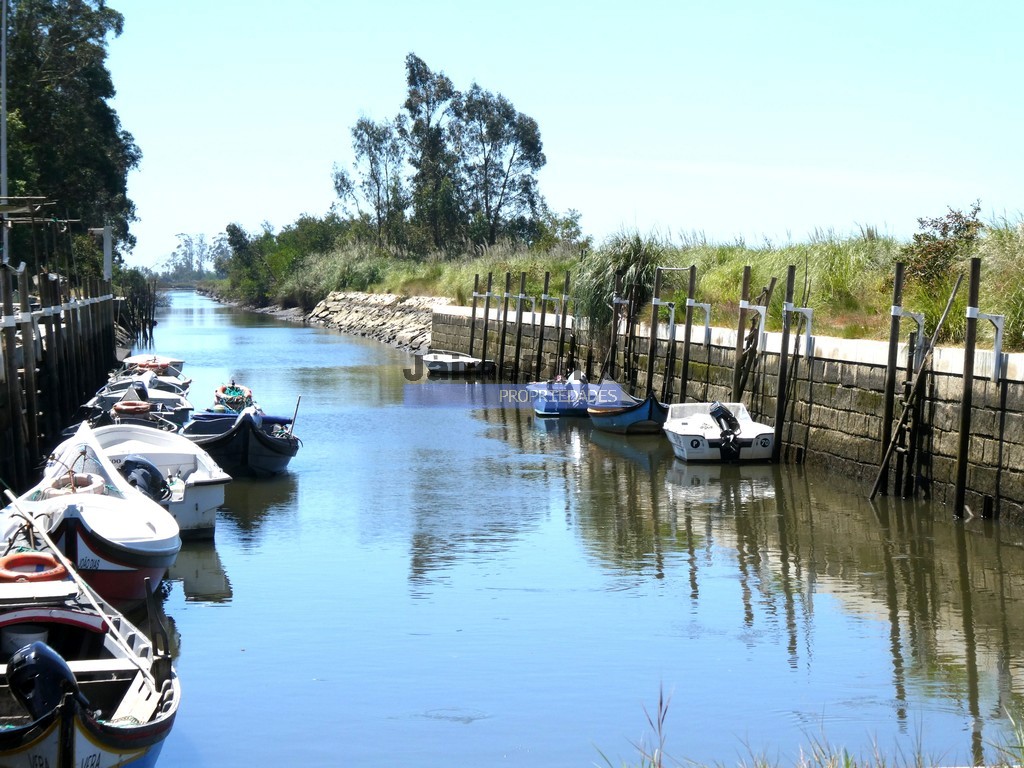Terreno Urbano - V�lega, Ovar, Aveiro - Miniatura: 4/4