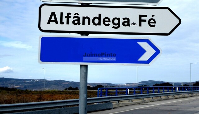 Terreno Rstico - Alfadega da F, Alfndega da F, Bragana - Imagem grande