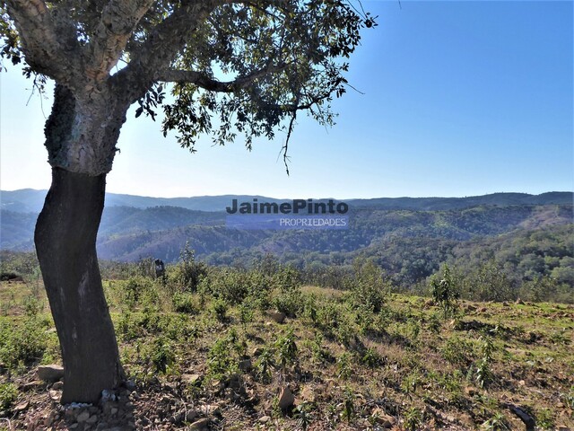 Terreno Rústico - Serra Caldeirão, Almodôvar, Beja - Imagem grande
