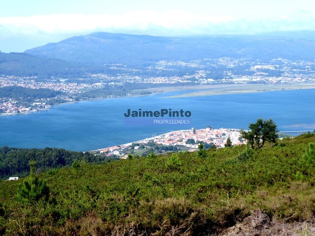 Quinta > T6 - Caminha, Caminha, Viana do Castelo - Imagem grande