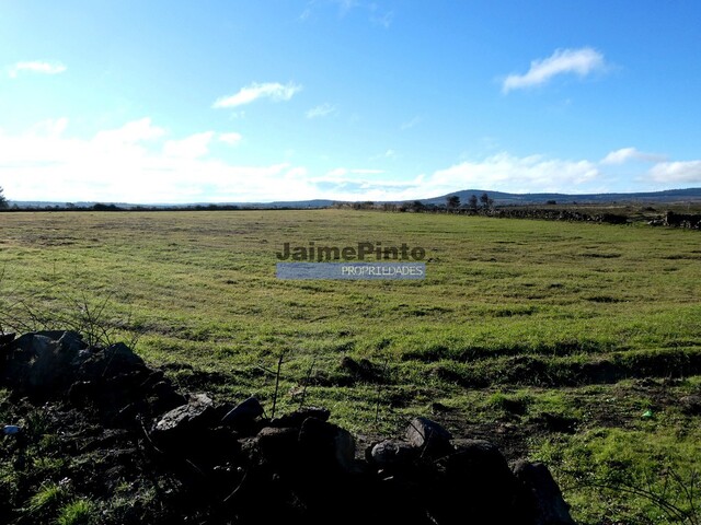 Terreno Rstico - Escalho, Figueira de Castelo Rodrigo, Guarda - Imagem grande
