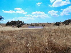Quinta - Almodôvar, Almodôvar, Beja