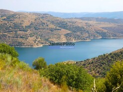 Terreno Rstico - Alfadega da F, Alfndega da F, Bragana