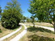 Moradia T5 - Soalh�es, Marco de Canaveses, Porto - Miniatura: 5/8