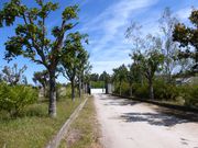 Moradia T5 - Soalh�es, Marco de Canaveses, Porto - Miniatura: 7/8