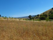 Quinta - Pinhel, Pinhel, Guarda - Miniatura: 5/9
