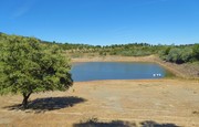 Quinta - Pinhel, Pinhel, Guarda - Miniatura: 9/9