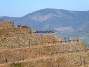 Terreno R�stico - Figueira de Castelo Rodrigo, Figueira de Castelo Rodrigo, Guarda - Miniatura: 5/9