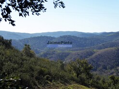 Terreno Rstico - Serra Caldeiro, Almodvar, Beja - Miniatura: 3/9