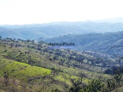 Terreno Rstico - Serra Caldeiro, Almodvar, Beja - Miniatura: 7/9