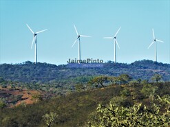 Terreno Rstico - Serra Caldeiro, Almodvar, Beja - Miniatura: 9/9