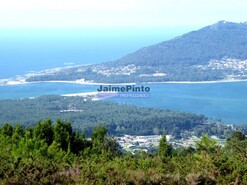 Quinta > T6 - Caminha, Caminha, Viana do Castelo - Miniatura: 4/9