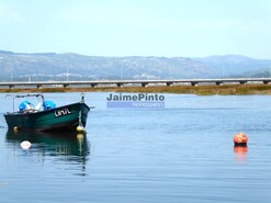 Quinta > T6 - Caminha, Caminha, Viana do Castelo - Miniatura: 5/9
