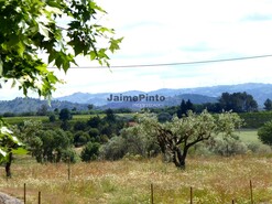 Moradia T6 - Belmonte, Belmonte, Castelo Branco - Miniatura: 3/7