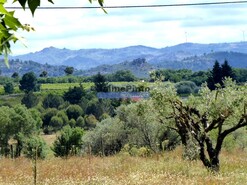 Moradia T6 - Belmonte, Belmonte, Castelo Branco - Miniatura: 5/7