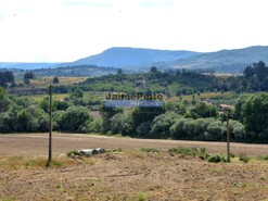 Moradia T6 - Belmonte, Belmonte, Castelo Branco - Miniatura: 7/7