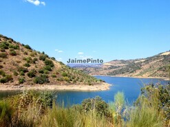 Terreno Rstico - Alfadega da F, Alfndega da F, Bragana - Miniatura: 5/9