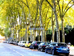 Terreno Urbano - Paranhos, Porto, Porto - Miniatura: 6/7
