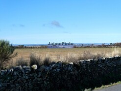 Terreno Rstico - Escalho, Figueira de Castelo Rodrigo, Guarda - Miniatura: 2/7