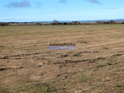 Terreno Rstico - Escalho, Figueira de Castelo Rodrigo, Guarda - Miniatura: 3/7