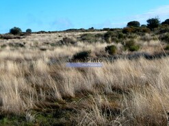 Terreno Rstico - Escalho, Figueira de Castelo Rodrigo, Guarda - Miniatura: 4/7