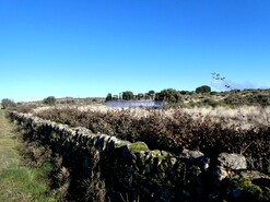Terreno Rstico - Escalho, Figueira de Castelo Rodrigo, Guarda - Miniatura: 5/7