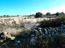 Terreno Rstico - Escalho, Figueira de Castelo Rodrigo, Guarda - Miniatura: 6/7
