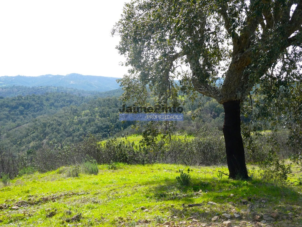 Quinta - Almod�var, Almod�var, Beja - Miniatura: 1/9